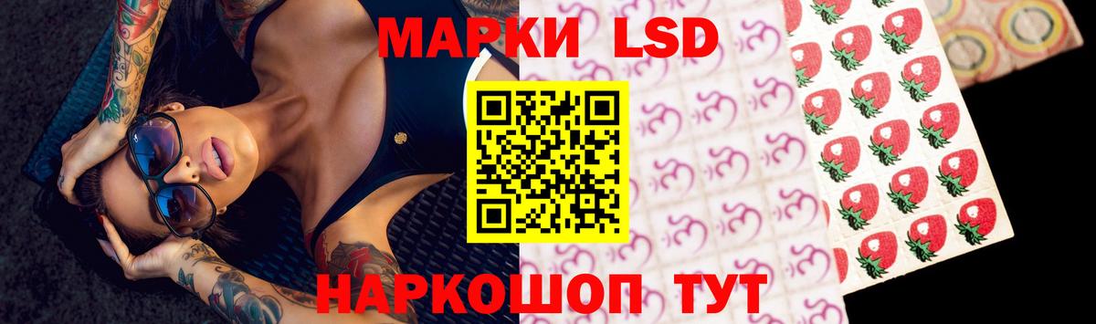 Лсд 25 экстази ecstasy  ЛСД экстази кислота  Лсд 25 экстази  Вход с VPN  Курчалой 