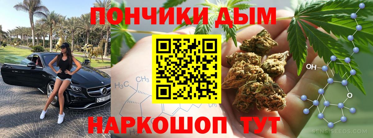 Марихуана сатива Курчалой